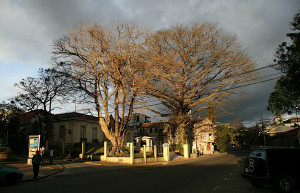 Сан Хосе, Сан Хосе провинция, Коста-Рика, фото № 41235 – фотографии Коста-Рики