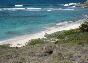 Синт-Мартен, фото № 4889 – фотографии Синт-Мартена