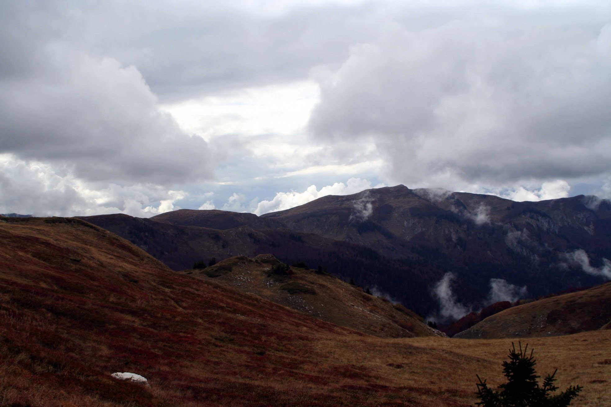 Биоградская гора, Черногория. Фото 17 – фотографии Черногории