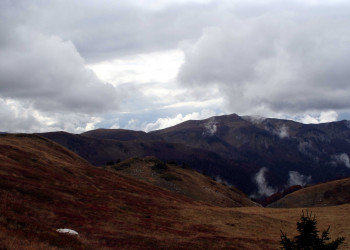 Биоградская гора, Черногория. Фото 17 – фотографии Черногории