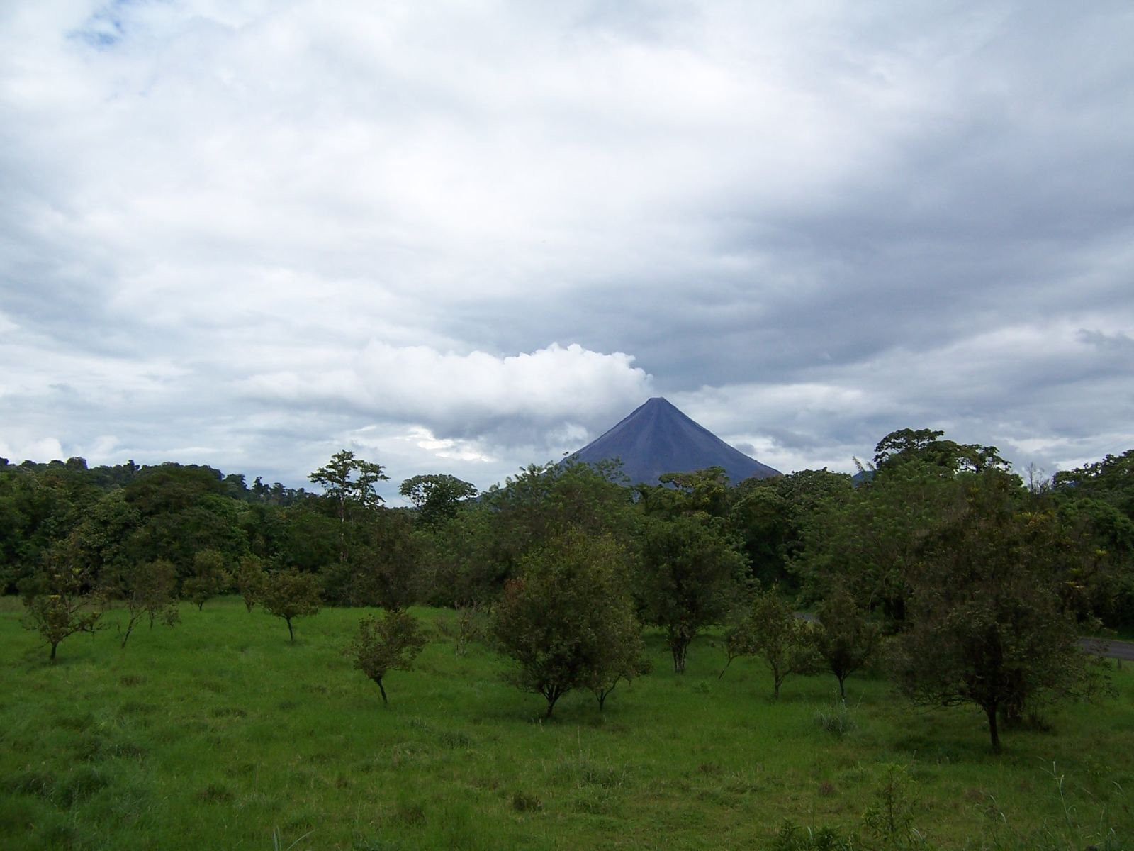 Ареналь Вулкано Национальный Парк, Алахуэла провинция, Коста-Рика, фото № 38906 – фотографии Коста-Рики