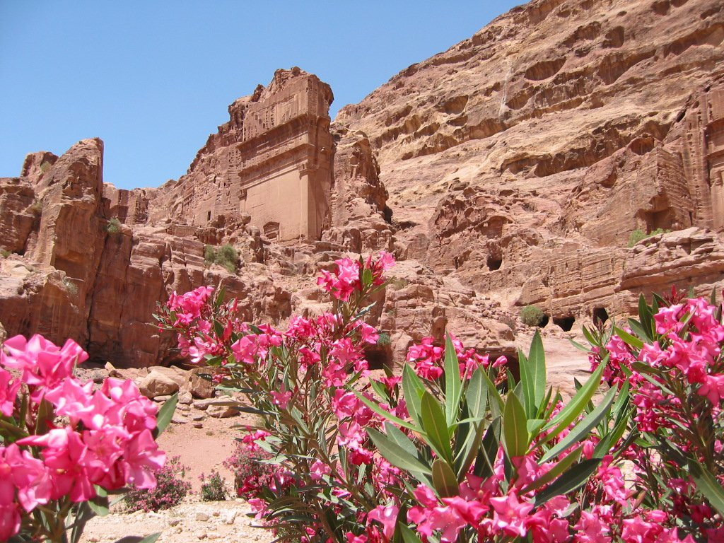 Петра, Иордания, фото № 37236 – фотографии Иордании