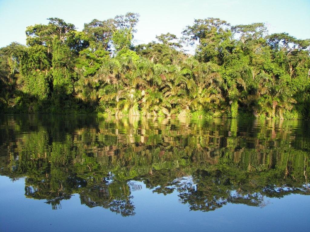 Тортугеро Национальный парк, Лимон провинция, Коста-Рика, фото № 40310 – фотографии Коста-Рики