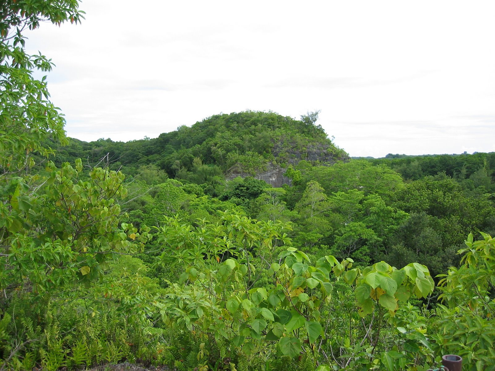 Остров Пелелиу (Peleliu Island) – фотографии Палау