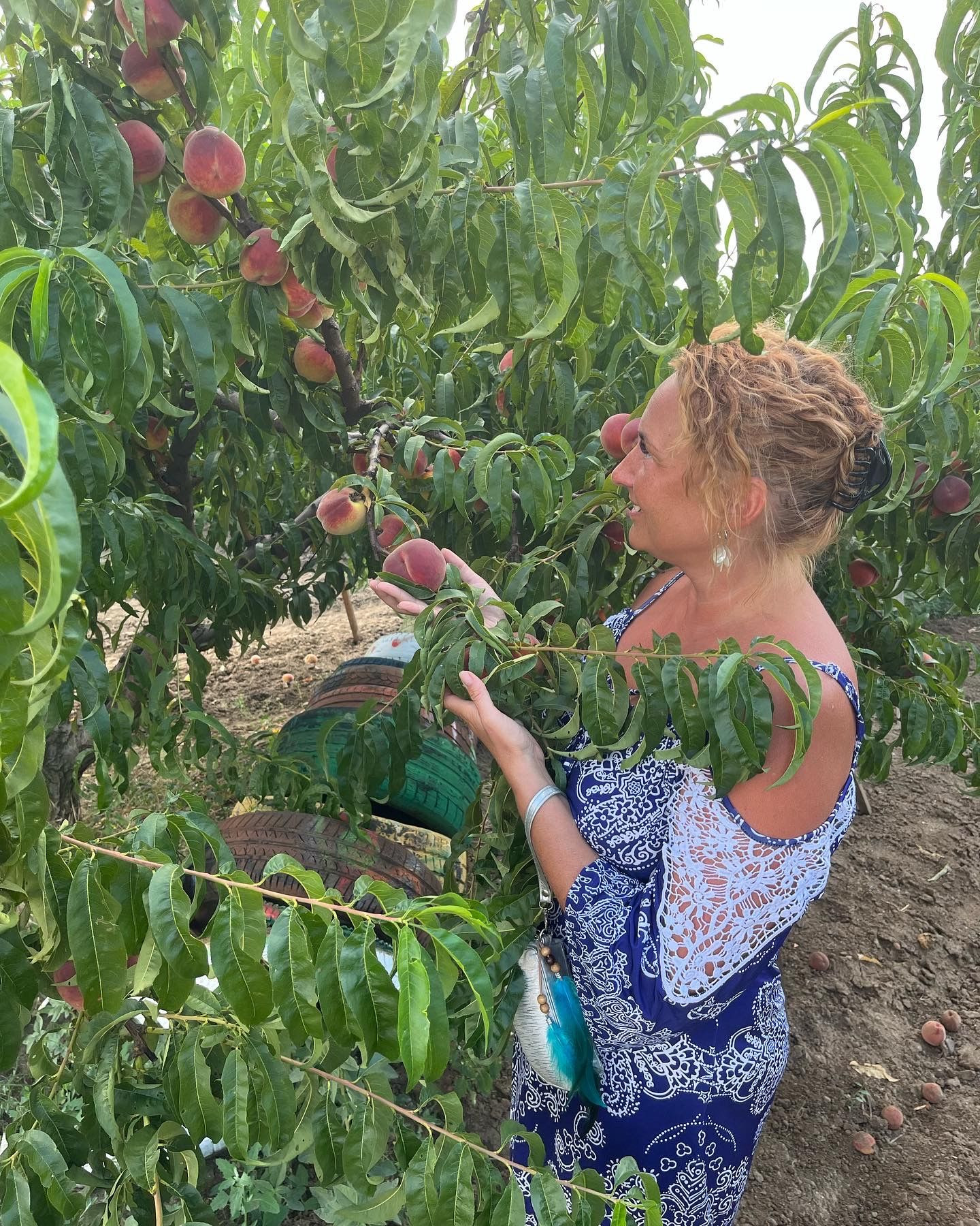 ☀️ – фотографии