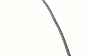 Гоа – фотографии Индии