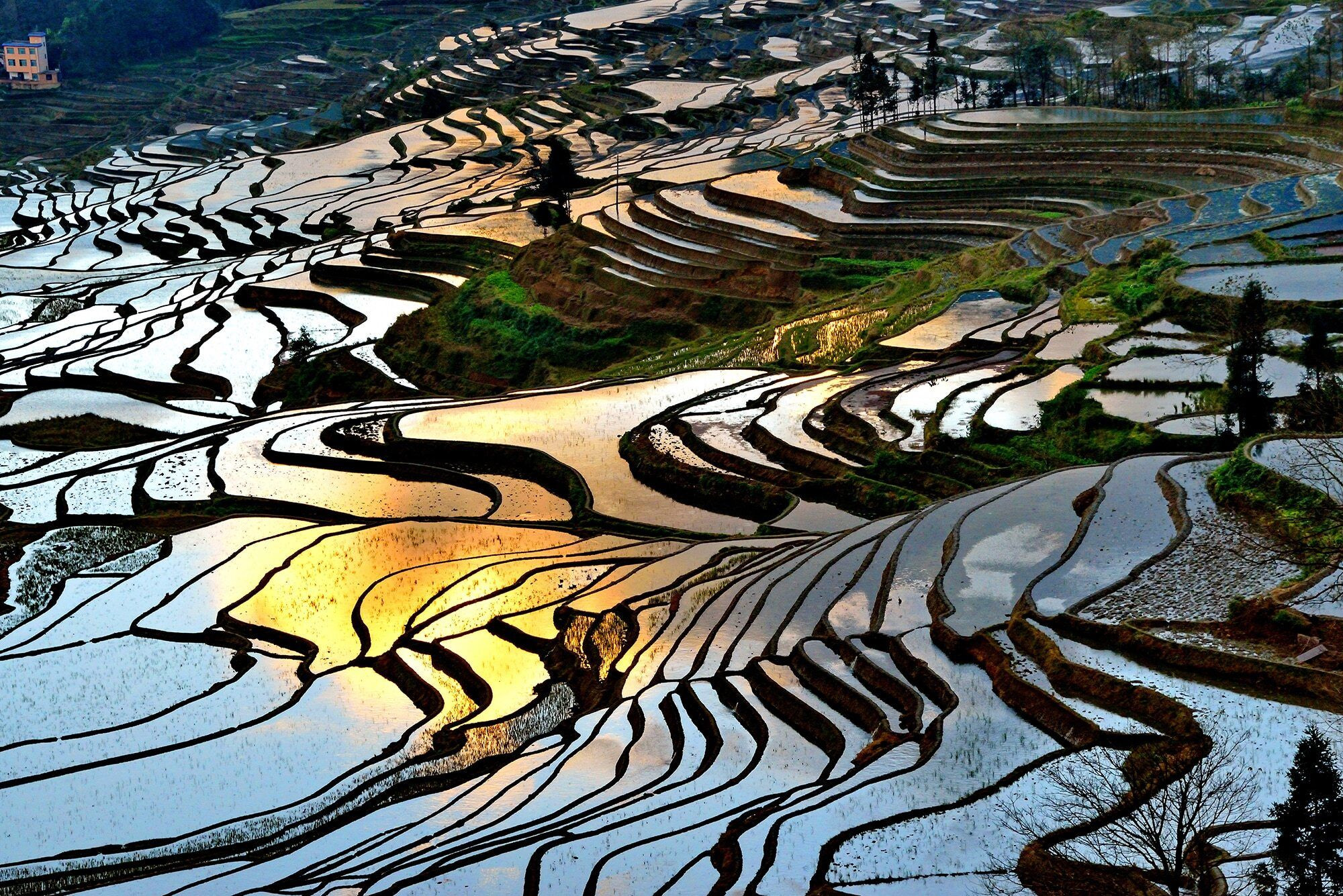 Рисовые террасы Хунхэ-Хани 12 – фотографии Китая