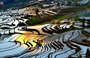 Рисовые террасы Хунхэ-Хани 12 – фотографии Китая