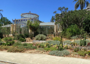 Ботанический сад в городе Аделаида – фотографии Австралии