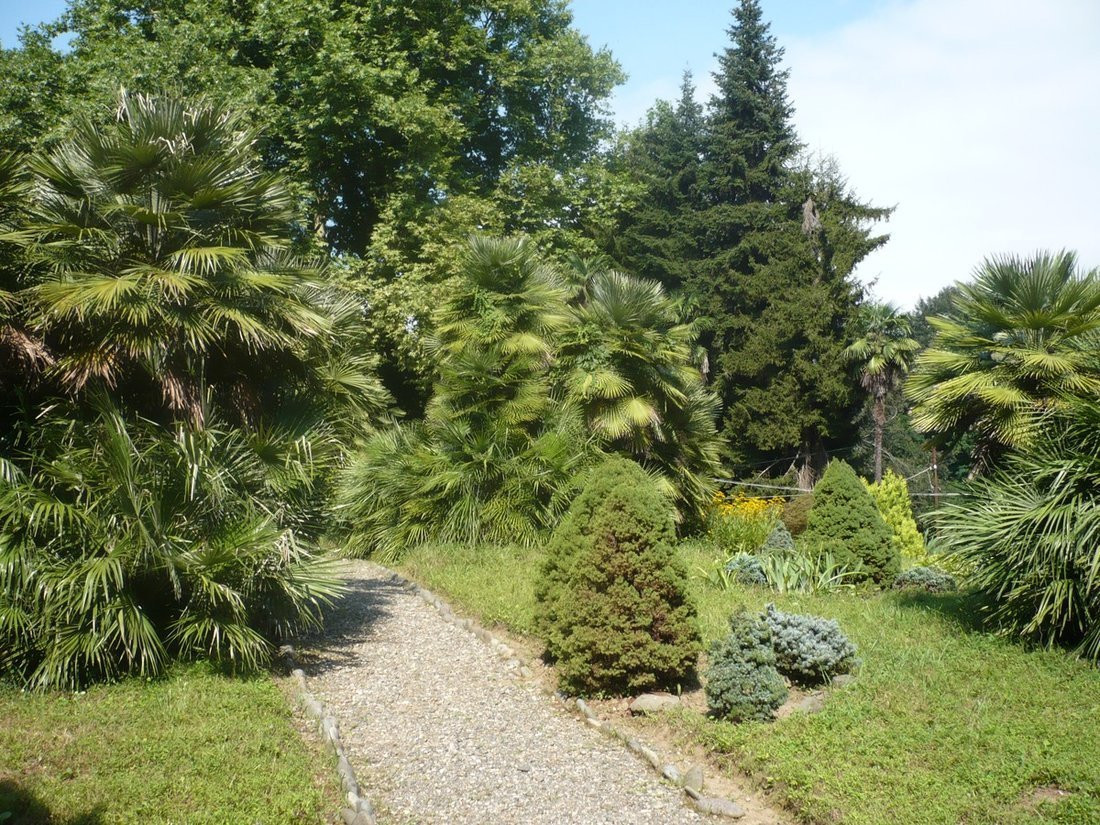 Зелёный Мыс, Грузия, фото № 73453 – фотографии Грузии