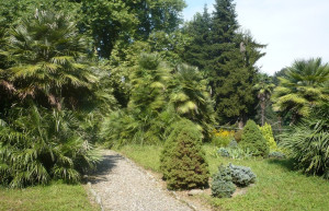 Зелёный Мыс, Грузия, фото № 73453 – фотографии Грузии