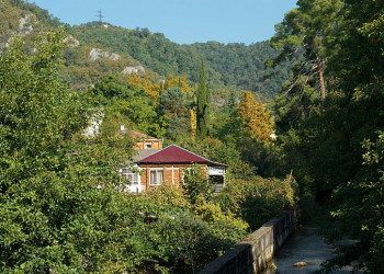 Природа Абхазии. Фото 15 – фотографии Абхазии