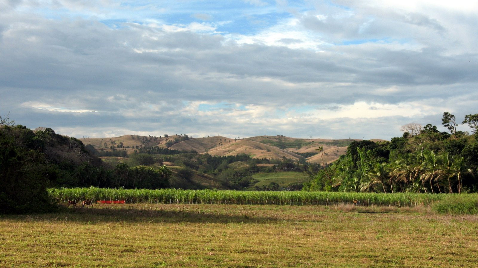Вити Леву остров, Вити Леву группа островов, Фиджи, фото № 49704 – фотографии Фиджи