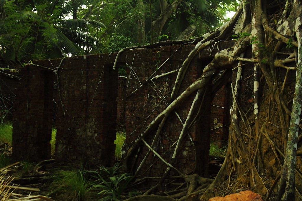 Остров Росс (Ross Island), Индия – фотографии Индии