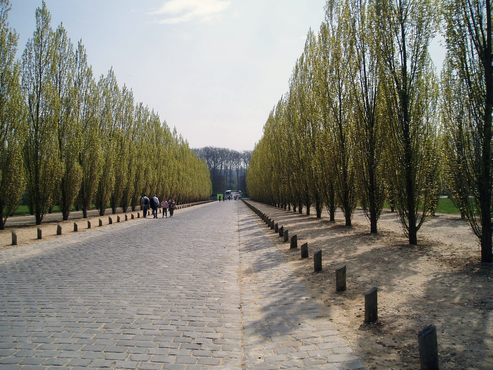 Версаль, Франция. Фото 4 – фотографии Франции