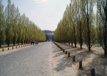 Версаль, Франция. Фото 4 – фотографии Франции