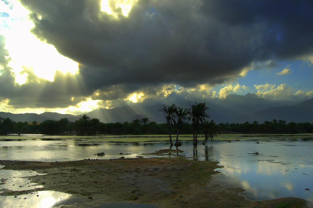 Остров Сокотра, Йемен. Фото 1 – фотографии Йемена