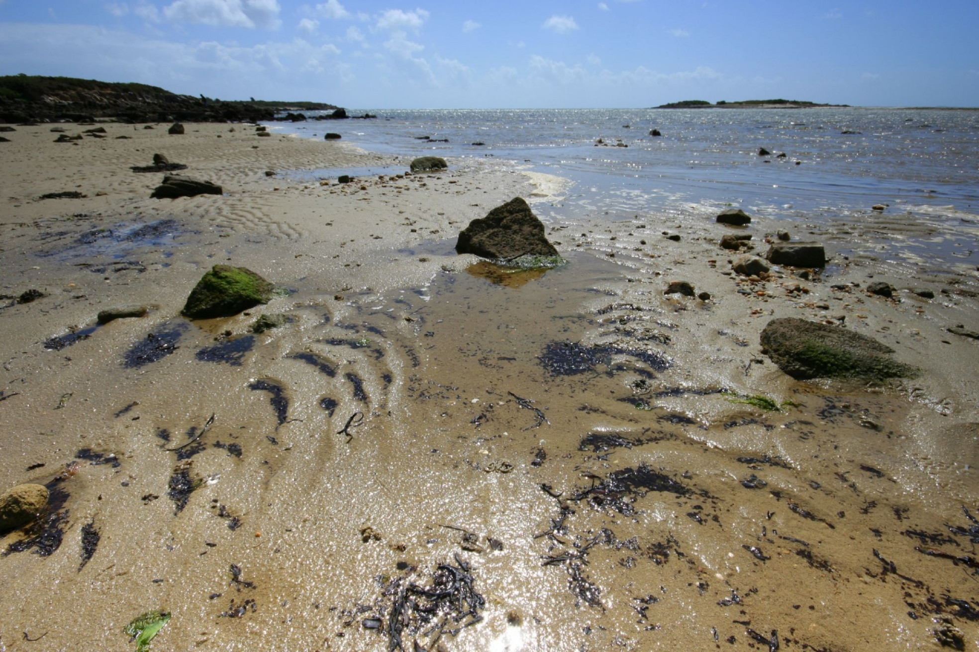 Пляж в Карнаке, Франция. Фото 11 – фотографии Франции