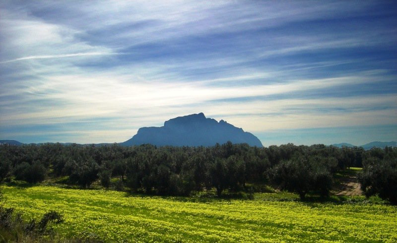 Природа Туниса. Фото 1 – фотографии Туниса