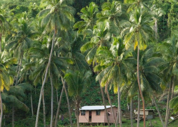 Гау остров, Ломаивити группа островов, Фиджи, фото № 48679 – фотографии Фиджи