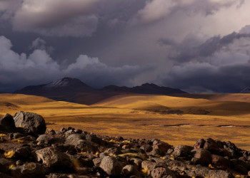 Природа Аргентины. Фото 3 – фотографии Аргентины