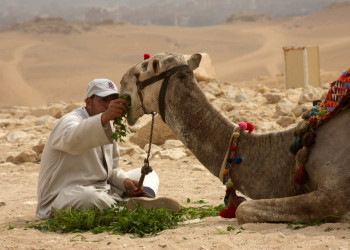 Каир, Египет, фото № 74167 – фотографии Египта