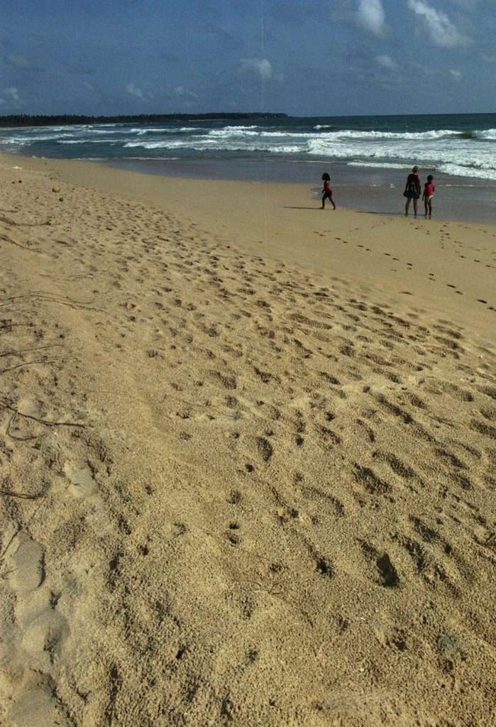 Ахунгалла, Шри-Ланка, фото № 50542 – фотографии Шри-Ланки