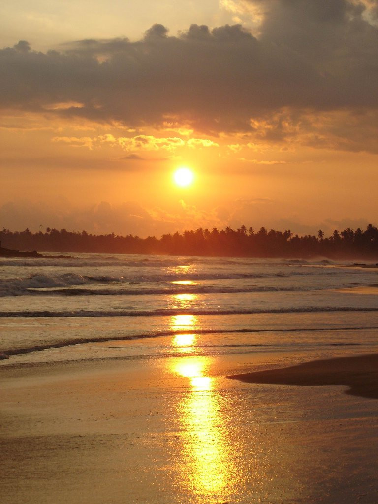 Матара, Шри-Ланка, фото № 51750 – фотографии Шри-Ланки