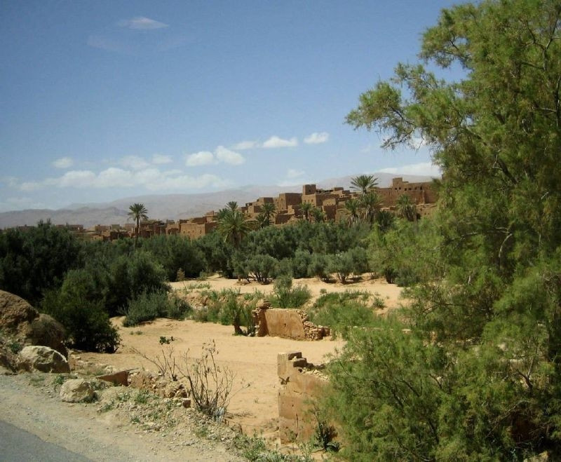 Эрфуд, Марокко, фото № 8734 – фотографии Марокко