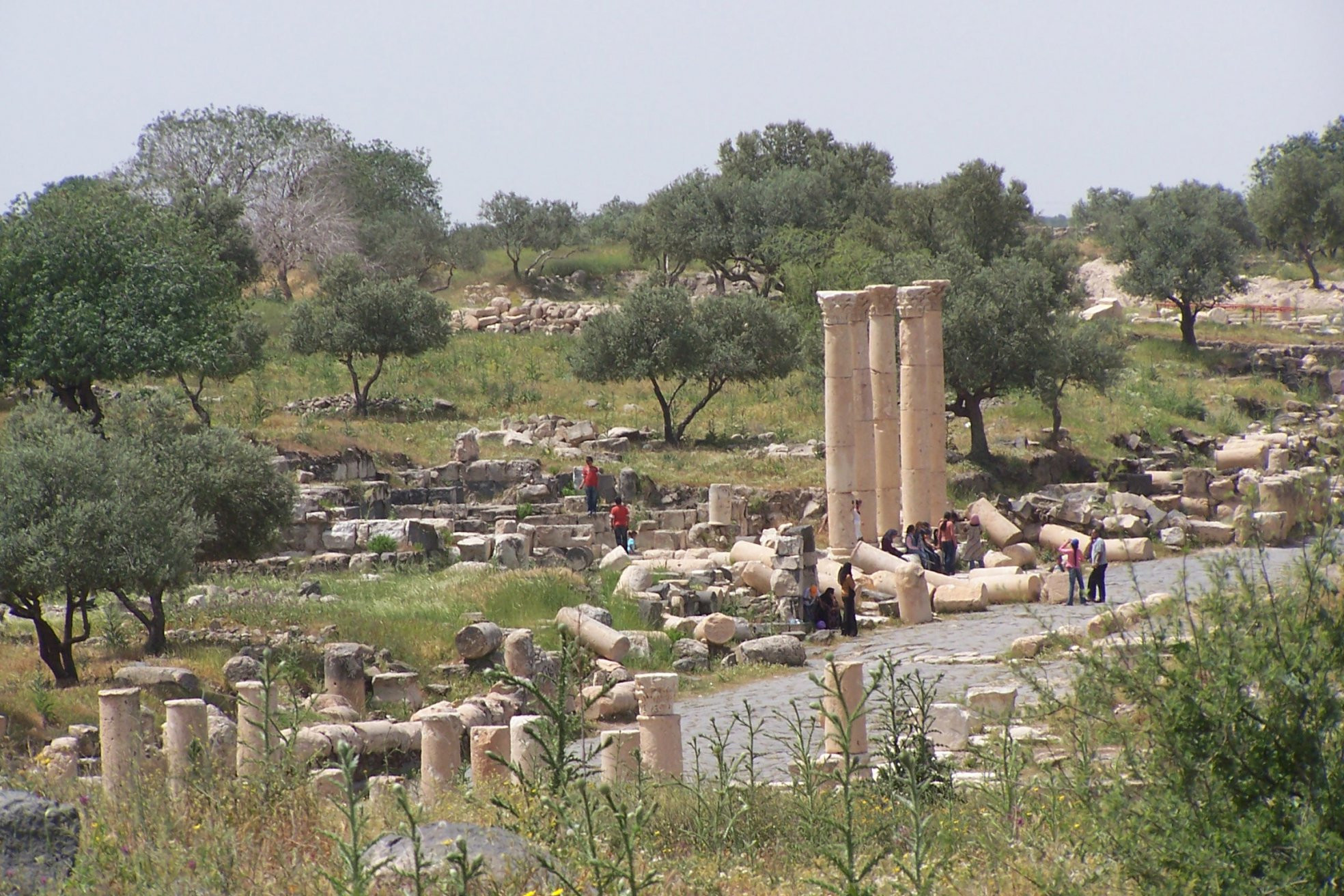 Умм Каис, Иордания, фото № 37410 – фотографии Иордании