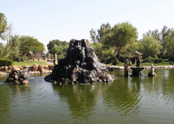 Аль-Арин (Al Areen) – парк дикой природы в Бахрейне. Фото 3 – фотографии Бахрейна