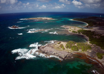 Саванна ископаемых на юге острова Мартиника – фотографии Мартиники