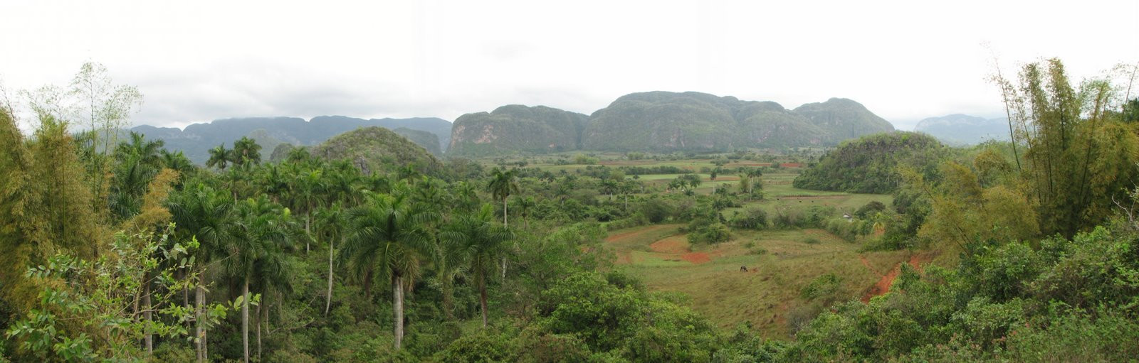 Природа в Пинар дель Рио провинция, Куба. Фото 2 – фотографии Кубы