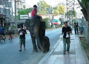 Улица в Канчанабури, Тайланд. Фото 13 – фотографии Таиланда