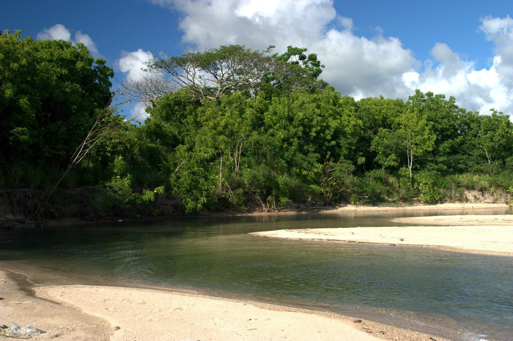 Корал Коаст, Вити Леву остров, Вити Леву группа островов, Фиджи, фото № 49483 – фотографии Фиджи