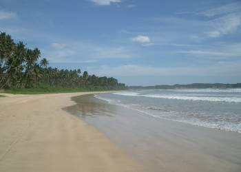 Велигама, Шри-Ланка, фото № 50832 – фотографии Шри-Ланки