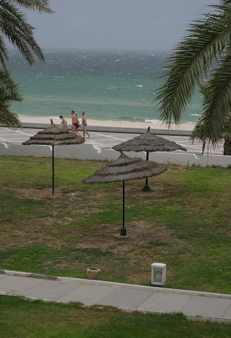 Пляж в Северном Тунисе. Фото 31 – фотографии Туниса