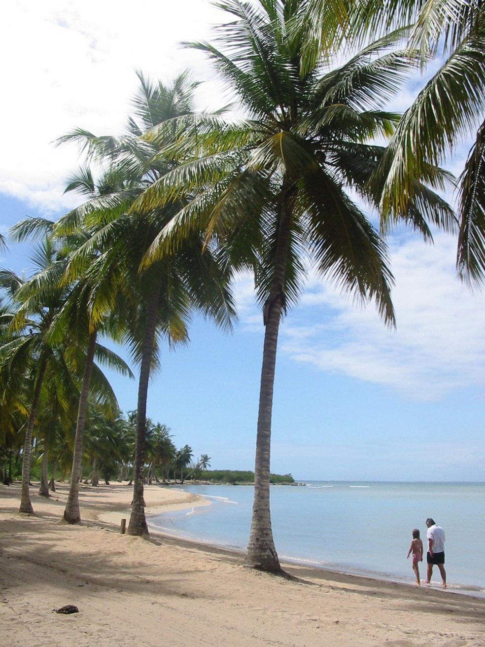 Ла-Романа, Доминикана, фото № 30404 – фотографии Доминиканы