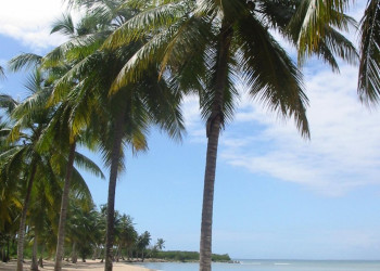 Ла-Романа, Доминикана, фото № 30404 – фотографии Доминиканы