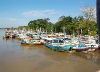 Шри-Ланка, фото № 1145 – фотографии Шри-Ланки