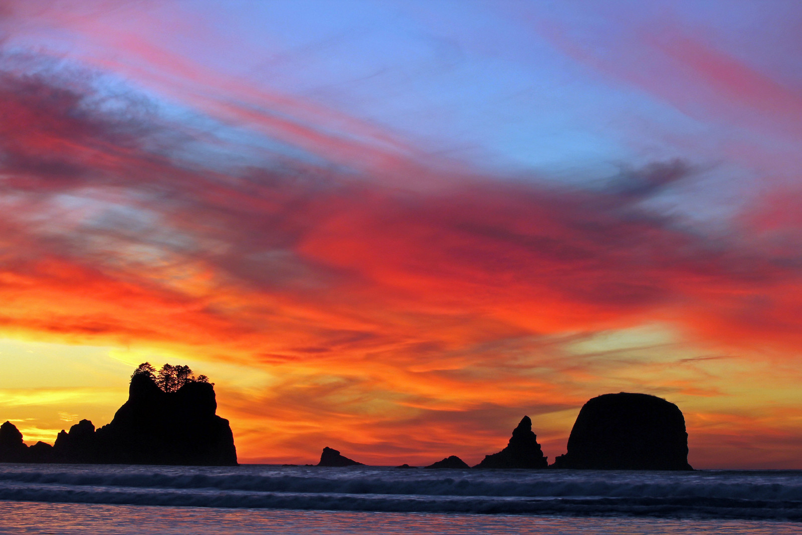 Олимпик (национальный парк). США. Фото 3 – фотографии США