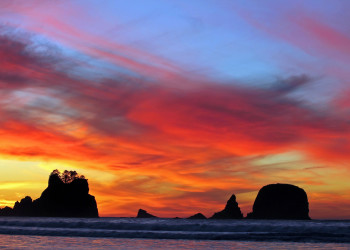 Олимпик (национальный парк). США. Фото 3 – фотографии США