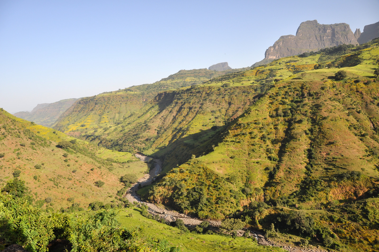 Горы Национального парка. Фото 1 – фотографии Эфиопии