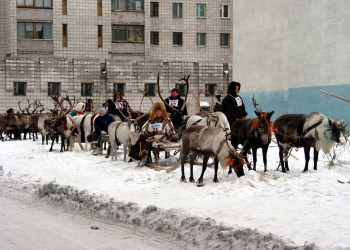 Развлечение в Воркуте, Россия – фотографии России