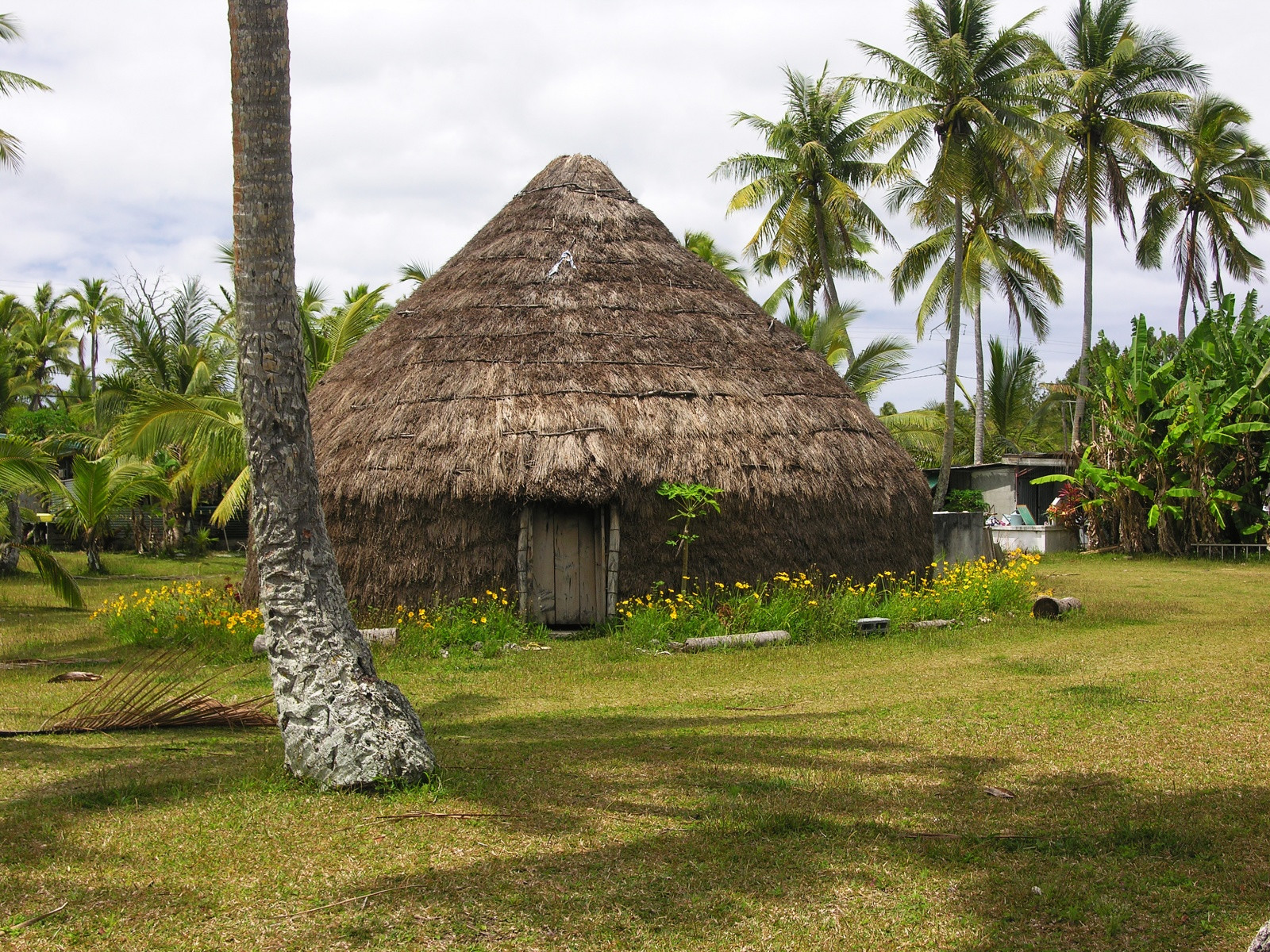 Остров Лифу, Новая Каледония. Фото 2 – фотографии Новой Каледонии