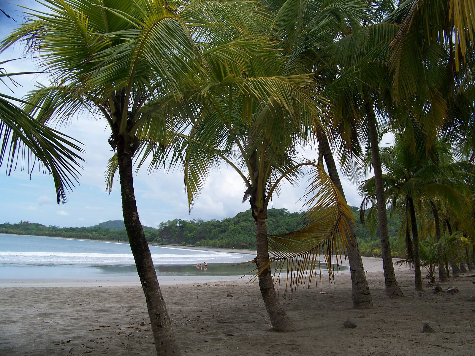 Плайя Карильо, Гуанакасте провинция, Коста-Рика, фото № 39530 – фотографии Коста-Рики