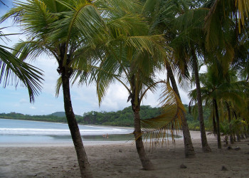 Плайя Карильо, Гуанакасте провинция, Коста-Рика, фото № 39530 – фотографии Коста-Рики