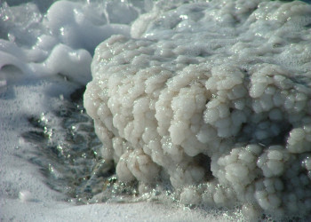 Соль и пена Мёртвое море, Иордания – фотографии Иордании