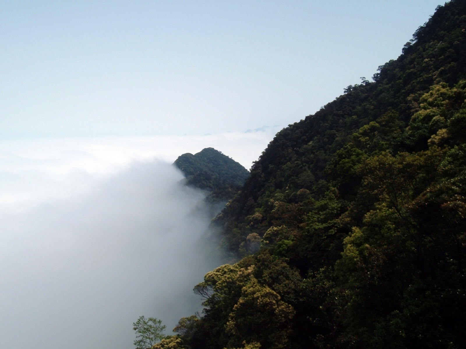 Туман в национальном парке Батьма во Вьетаме – фотографии Вьетнама
