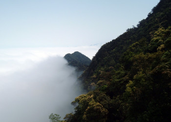Туман в национальном парке Батьма во Вьетаме – фотографии Вьетнама